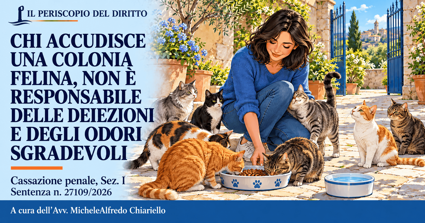 disclaimer: l'immagine è puramente illustrativa